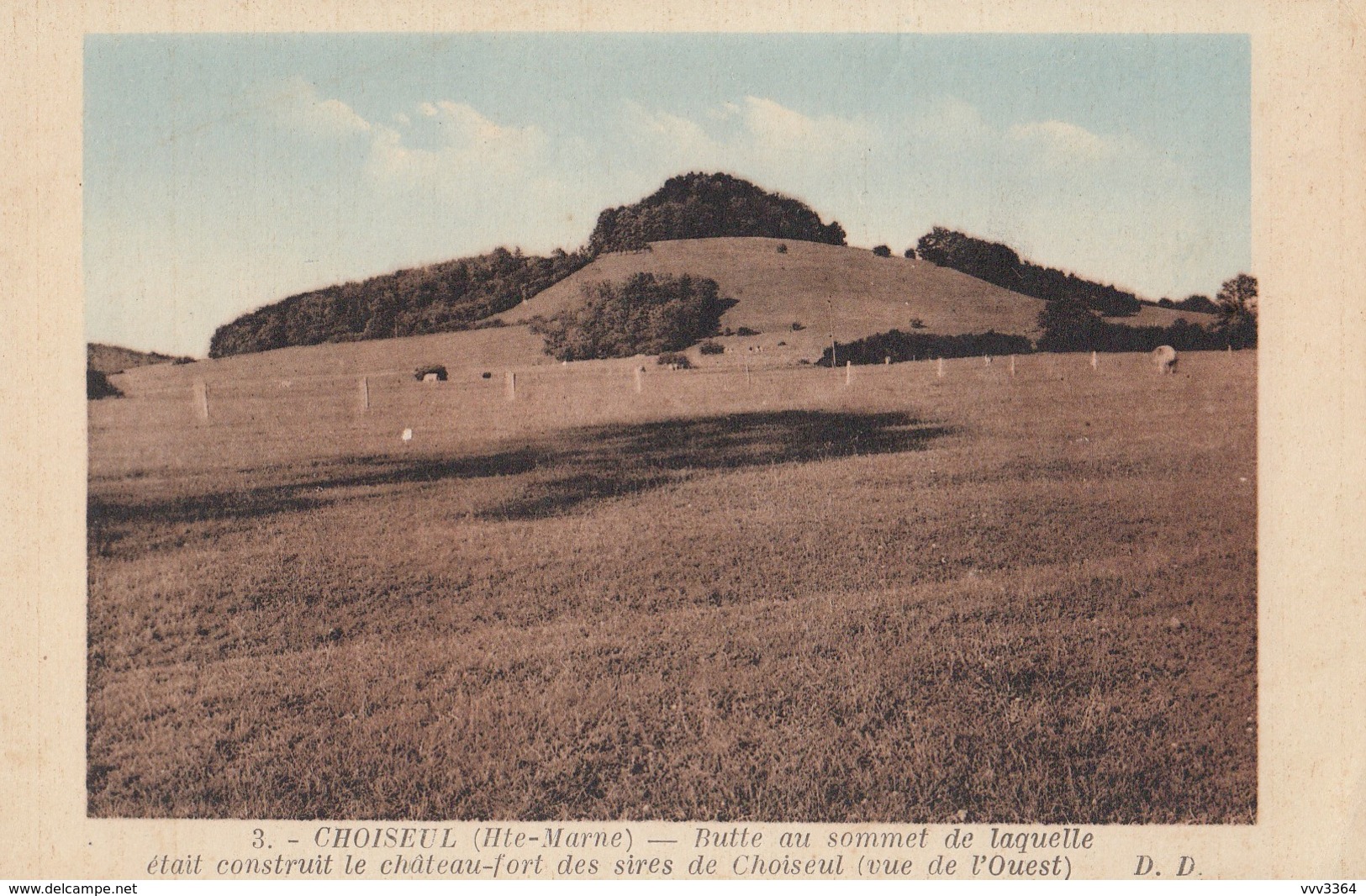 CHOISEUL (Hte-Marne): Butte Au Sommet De Laquelle était Construit Le Château-fort Des Sires De Choiseul - Andere & Zonder Classificatie