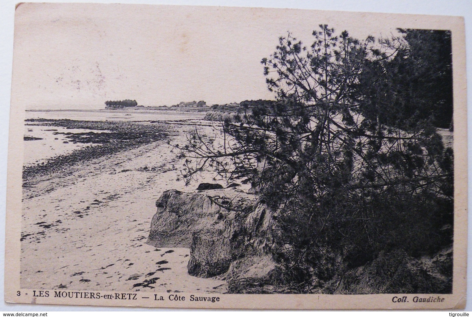 CP1907 - Les Moutiers-en-Retz - La Côte Sauvage - Voyagée - Les Moutiers-en-Retz