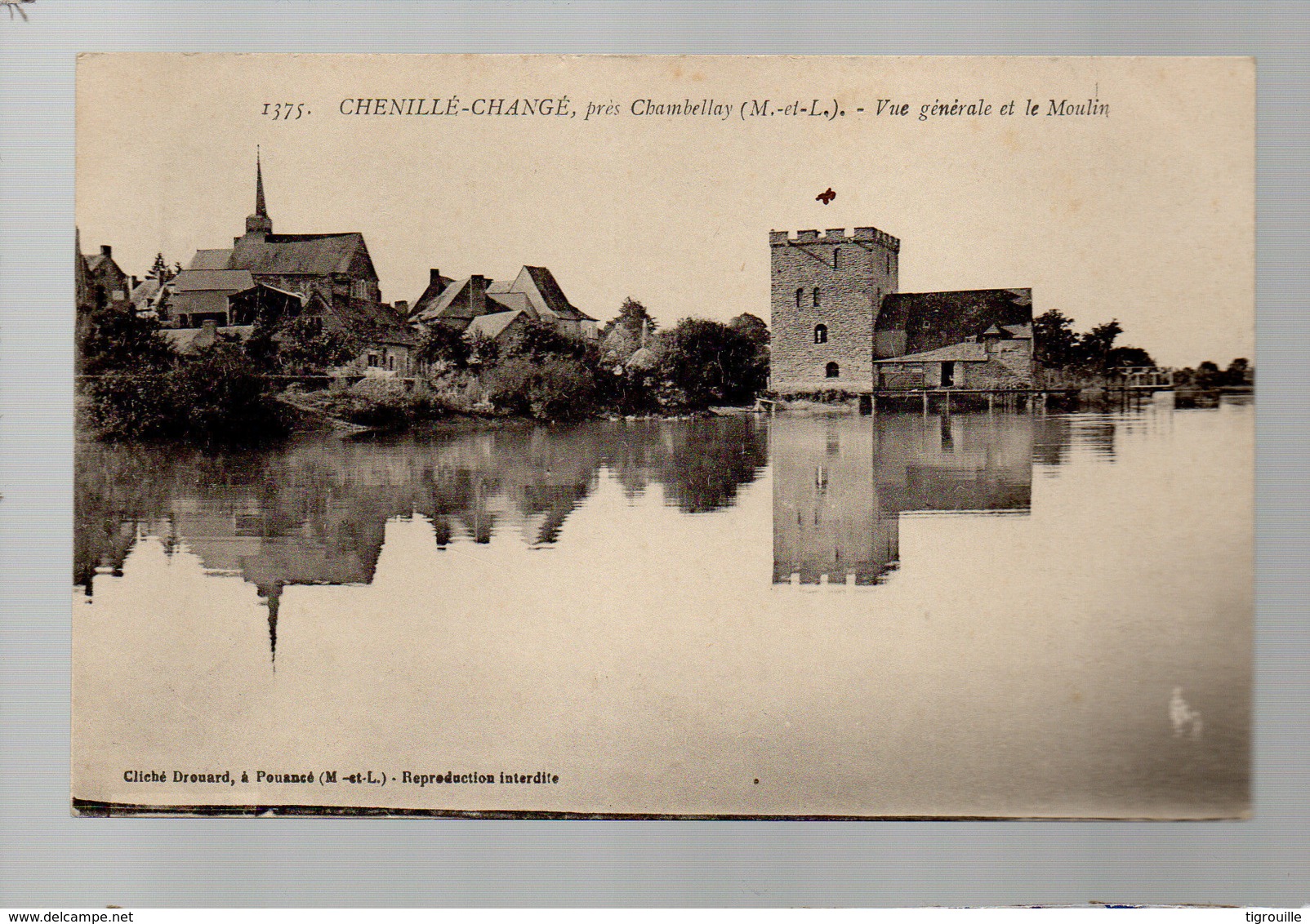 CP29177 - Chenillé-Changé - Vue Générale Et Le Moulin - Ecrite - Sonstige & Ohne Zuordnung