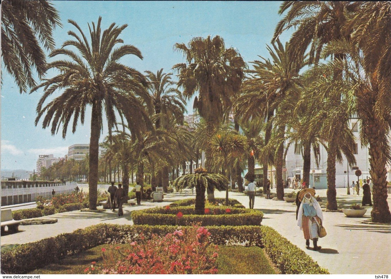 MAROC---TANGER---avenue Des Forces Armées Royales--voir 2 Scans - Tanger