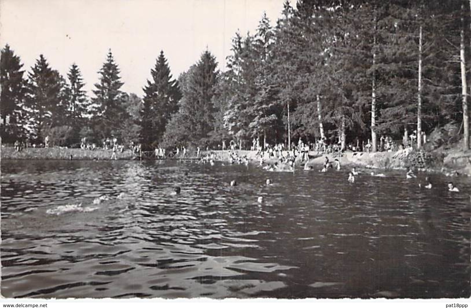 78 - ST REMY L'HONORE : La Baignade De L'Etang - CPSM Dentelée Noir Blanc Format CPA (1.570 Habitants) - Yvelines - Autres & Non Classés