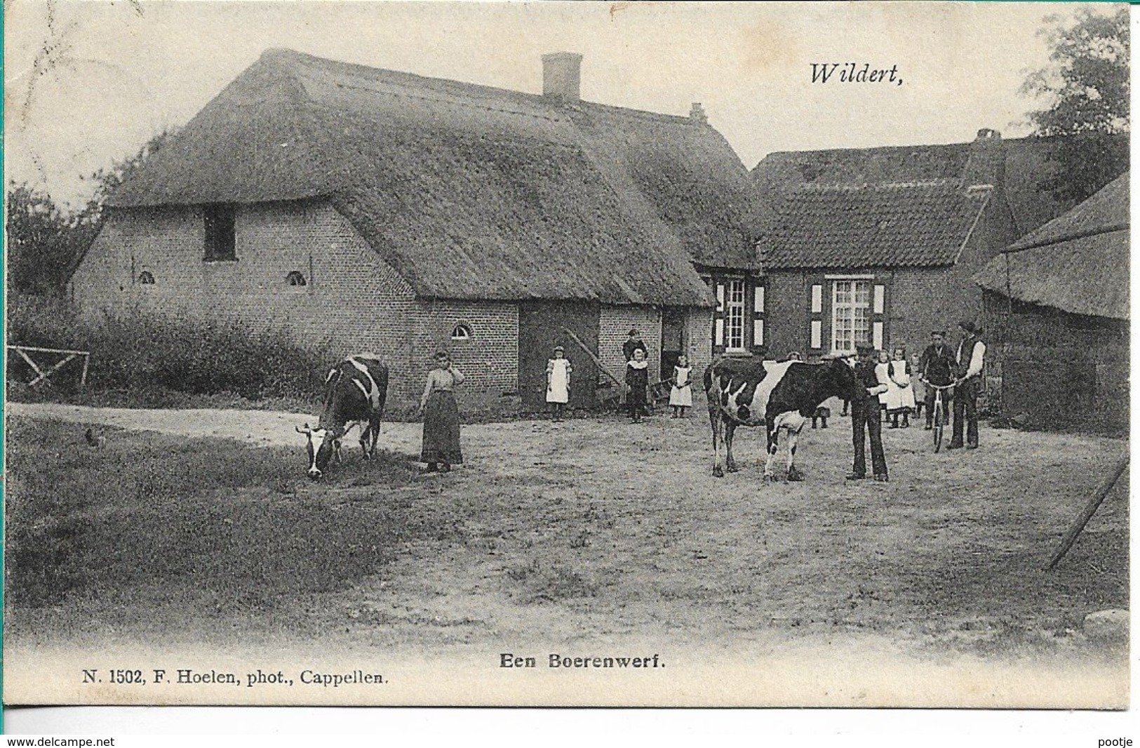 Wildert Een Boeren Erf Hoelen 1502 - Andere & Zonder Classificatie