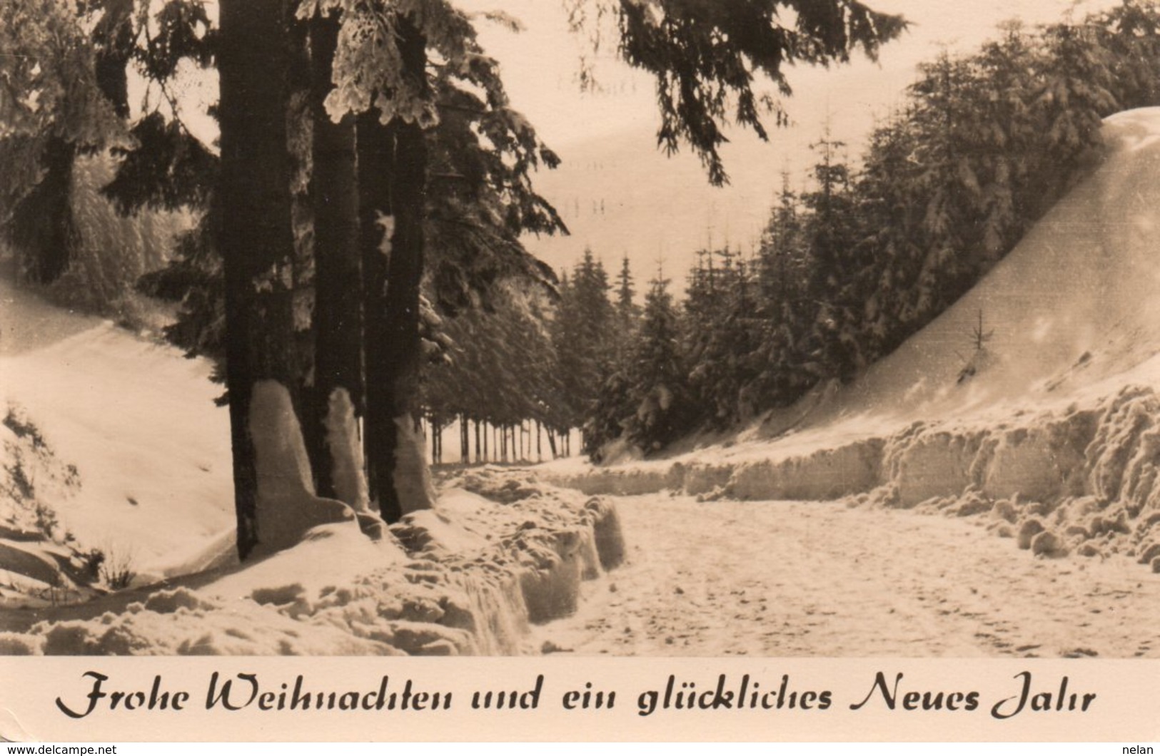 GERMANY-FROHE WEIHNACHTEN UND EIN GLUCKLICHES NEUES JAHR-1965-REAL FHOTO - Altri & Non Classificati