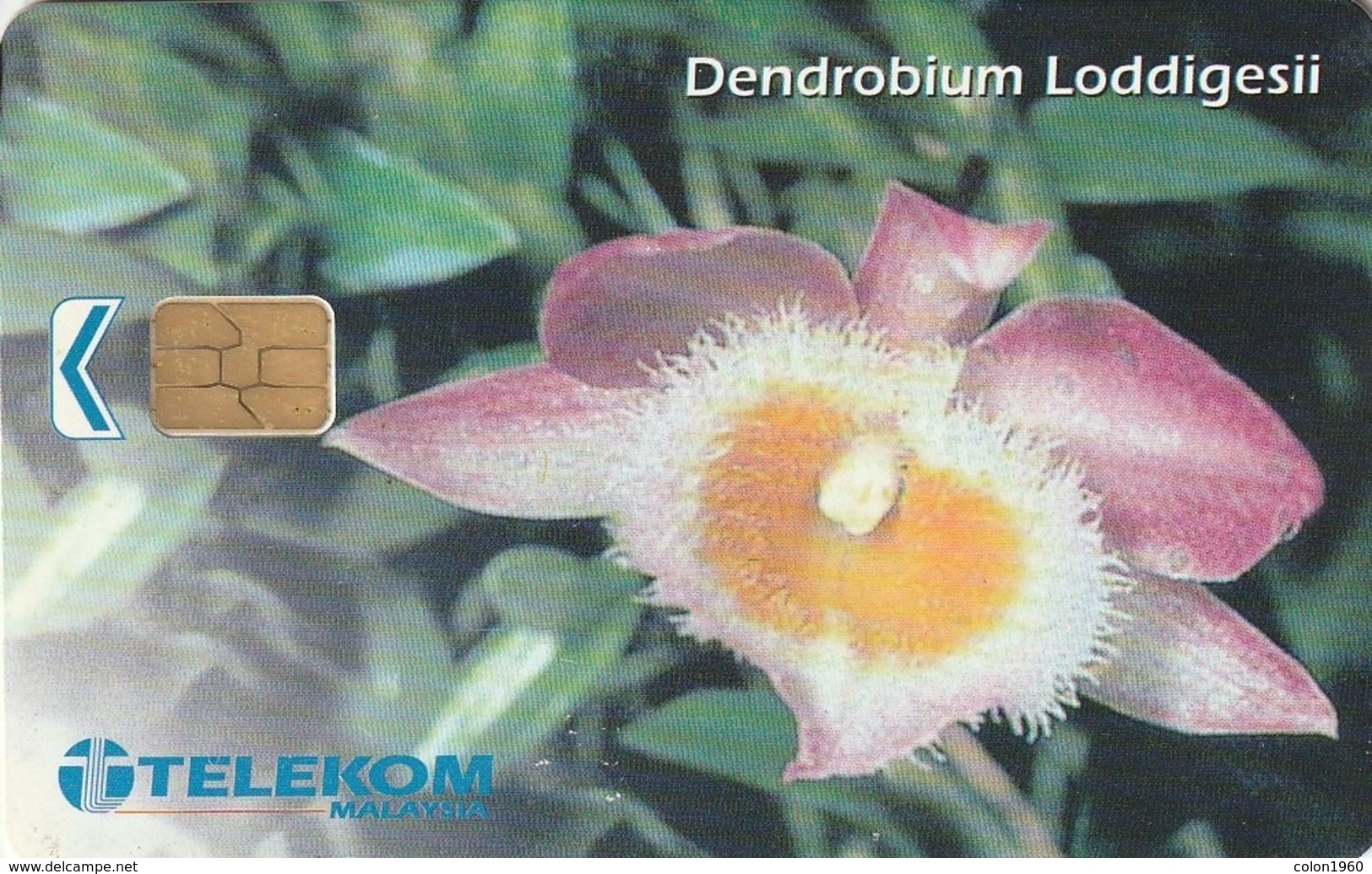 MALASIA. MLS-C-AE. FLORES - FLOWERS. Dendrobium Loddigesii. 20RM. (038) - Blumen