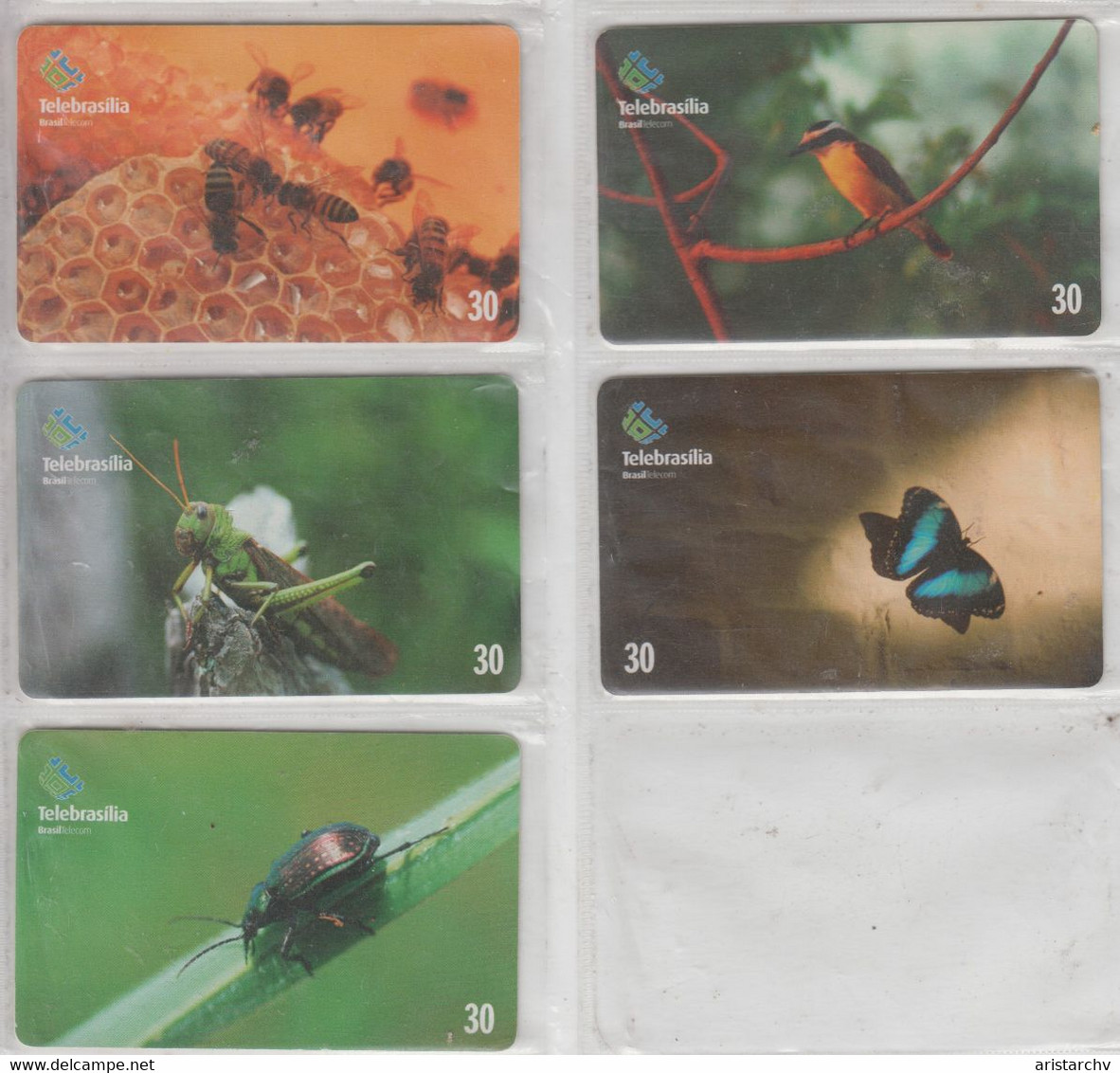 BRASIL 2000 BEE GREAT KISKADEE GRASSHOPPER BUTTERFLY BEETLE - Autres & Non Classés