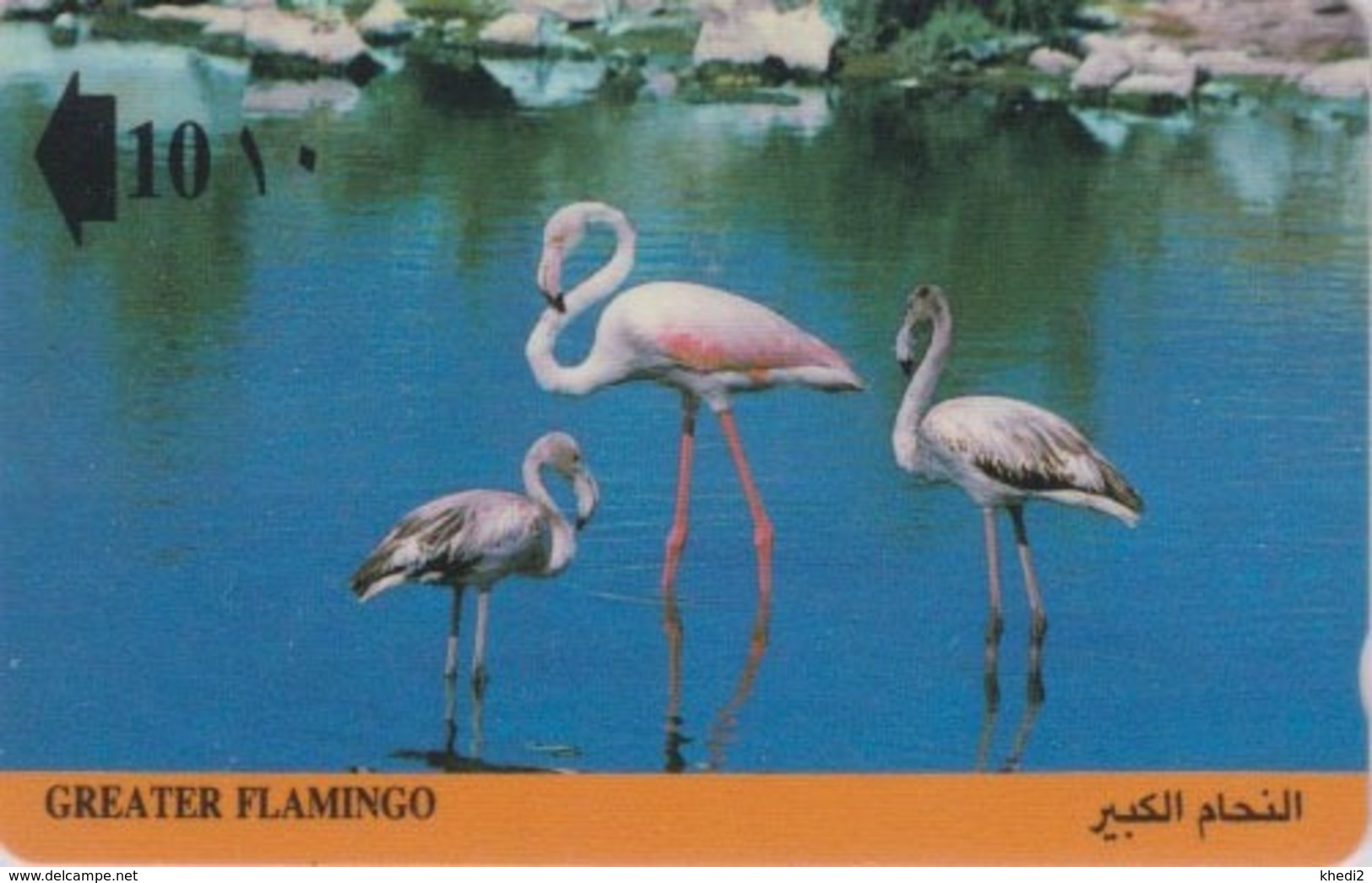 Télécarte GPT OMAN - Animal - OISEAU - FLAMANT ROSE - FLAMINGO BIRD Phonecard - 4490 - Oman