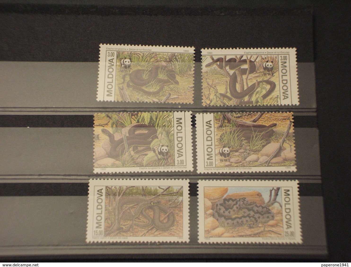 MOLDOVA - 1993 WWF SERPENTI 6 VALORI - NUOVI(++) - Moldavia