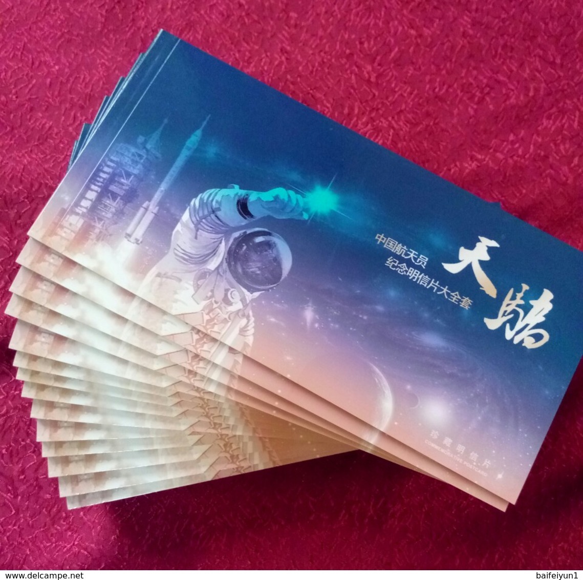 China 2013 TKYJ-2013--10 China Spaceman Postal Cards  10 Pcs - Asien