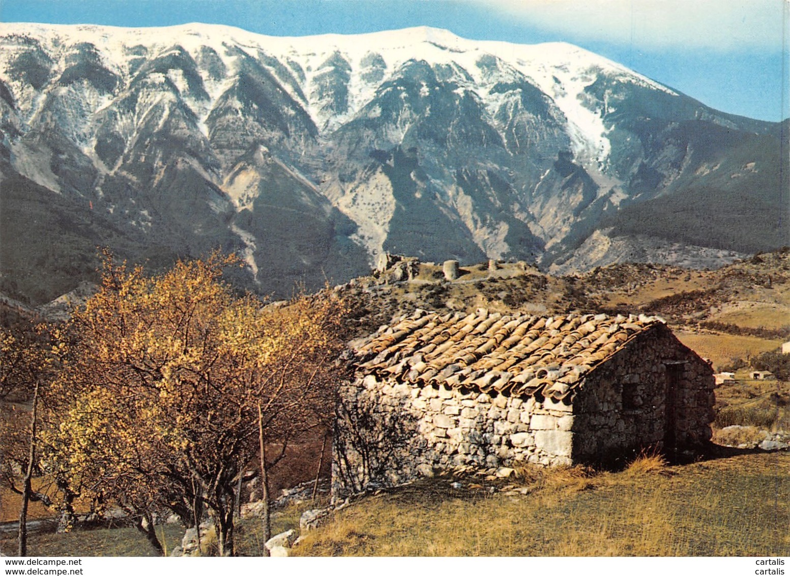 84-MONT VENTOUX-N°C-3647-D/0215 - Autres & Non Classés