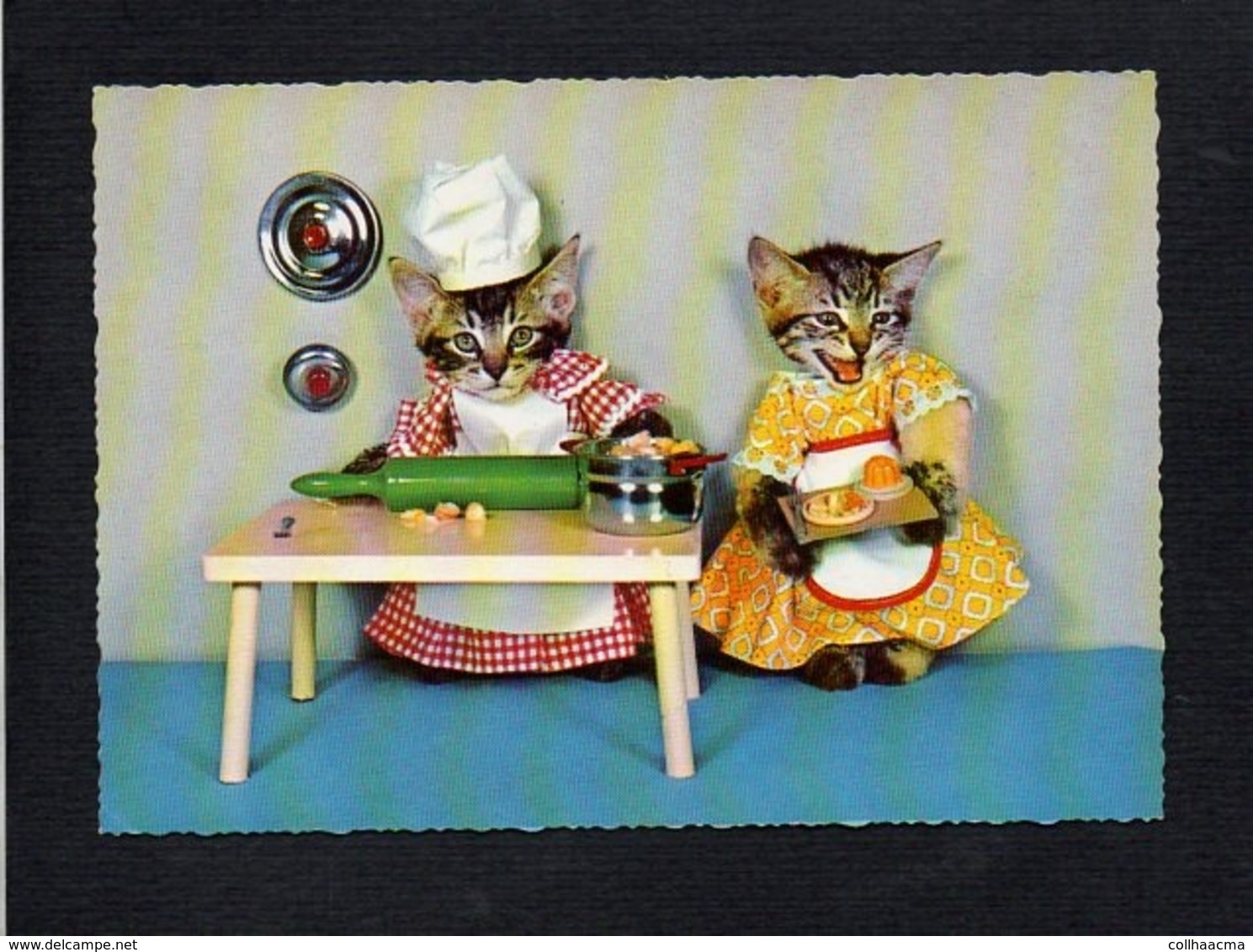 Animal / Chat,chats Habillés /  En Cuisine Le Cuisinier Et La Cuisinière Prépare Le Gâteau - Dressed Animals