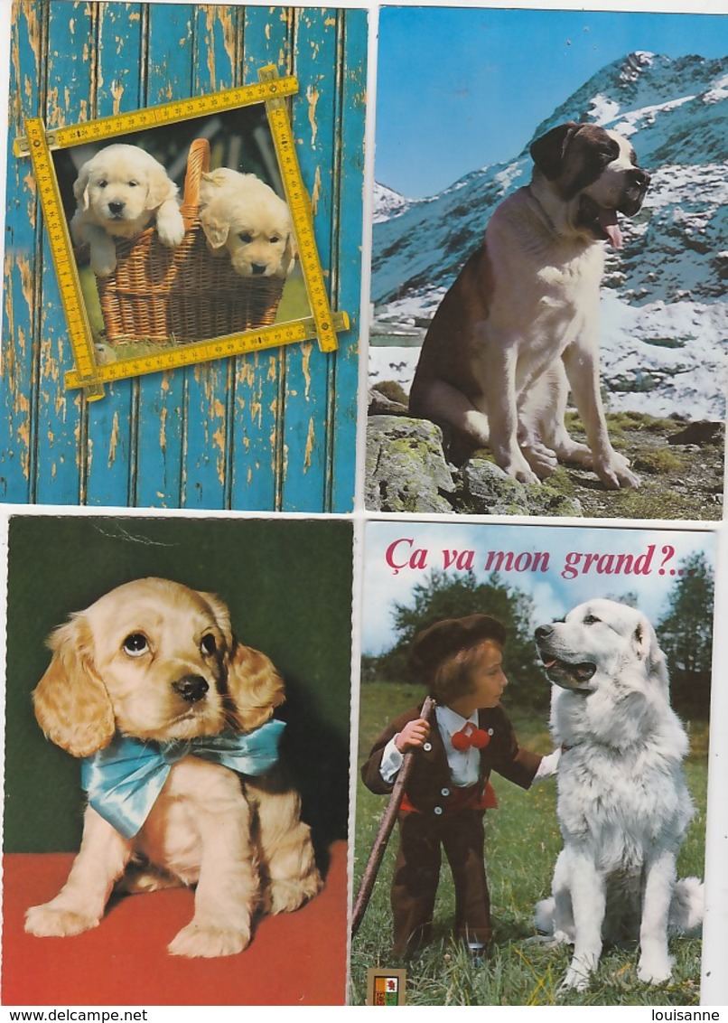 19 //11 /  164. -  LOT  DE. 100  C P M  DE. CHIENS  DIVERS  À. 8 €  PLUS  6€,50. DE. PORT. - 100 - 499 Postales