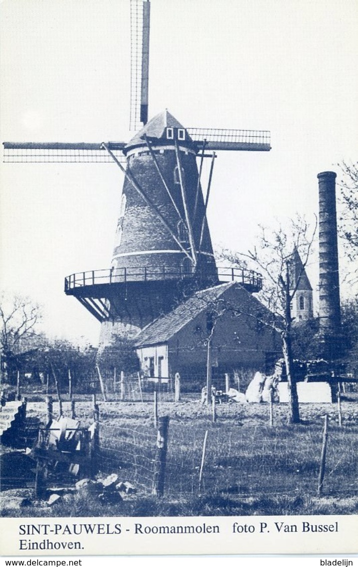 SINT-PAUWELS - Sint-Gillis-Waas (Oost-Vlaanderen) - Molen/moulin - De Nog Bestaande Roomanmolen Met De Kerk Ca. 1960 - Sint-Gillis-Waas