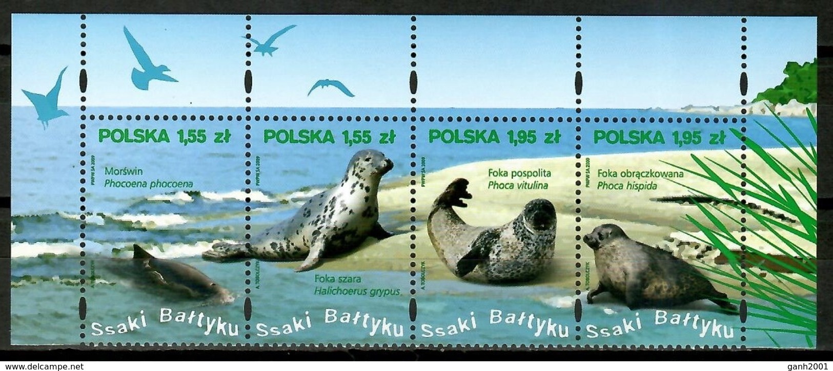 Poland 20098 Polonia / Seals Marine Mammals MNH Focas Mamíferos Marinos Säugetiere / Cu14936  1-19 - Otros & Sin Clasificación