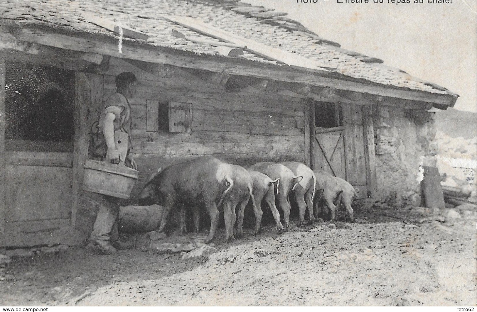 AUF DER ALP / SUR L'ALPE → L'heure Du Repas Au Chalet, Bauer Füttert Seine Schweine, Ca.1920 - Au