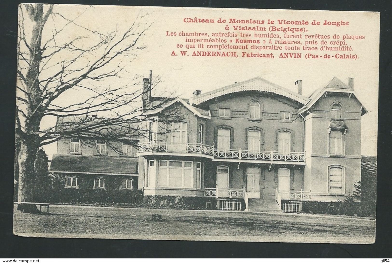 BELGIQUE - LUXEMBOURG - VIELSALM - Château De Monsieur Le Vicomte De Jonghe à Vielsalm. (CARTE Publicitaire, Vad57 - Vielsalm
