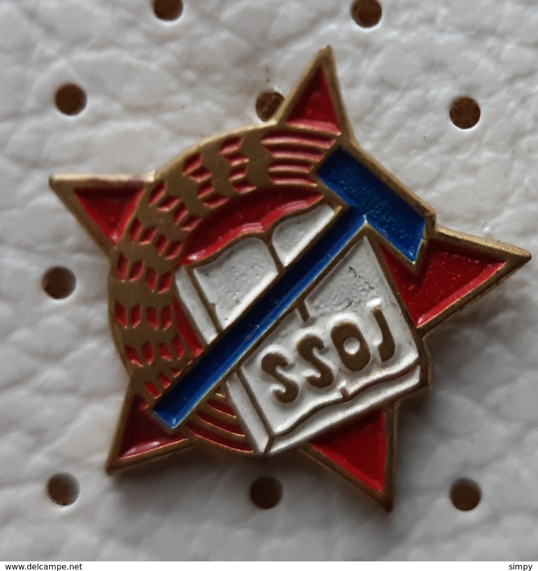 SSOJ Alliance Of Socialist Youth Of Yugoslavia Communist Hammer Red Star Ex Yugoslavia Pin - Verenigingen