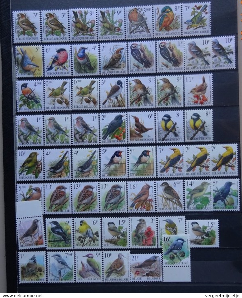 BELGIE   Samenstelling  Vogels  BUZIN   ( Zonder 2698)   In Bfr.  Zie Foto   Postfris **   Fac. Waarde 398 Bfr. - 1985-.. Oiseaux (Buzin)