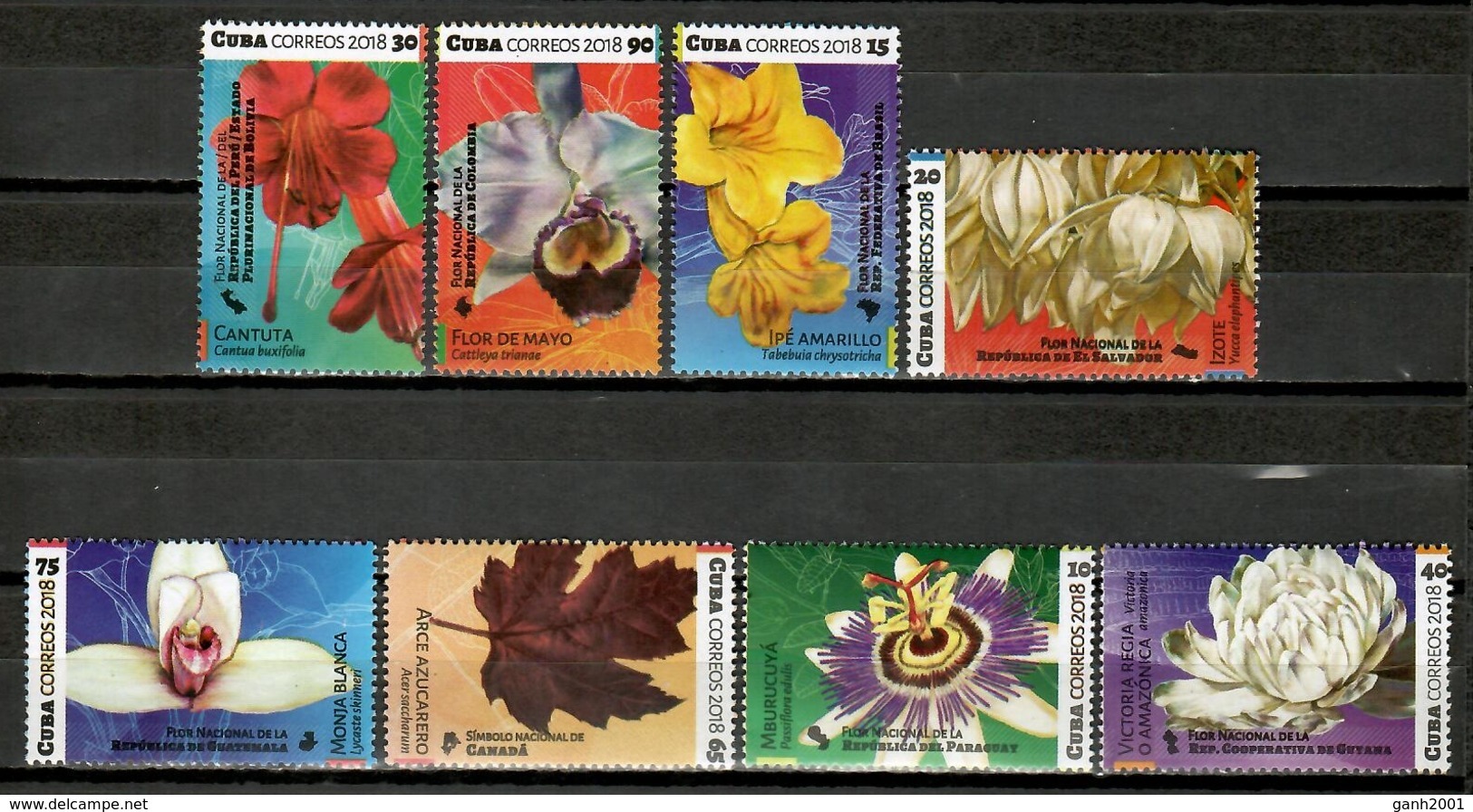 Cuba 2018 / Flowers MNH Flores Blumen Fleurs / Cu11035 C3-23 - Otros & Sin Clasificación