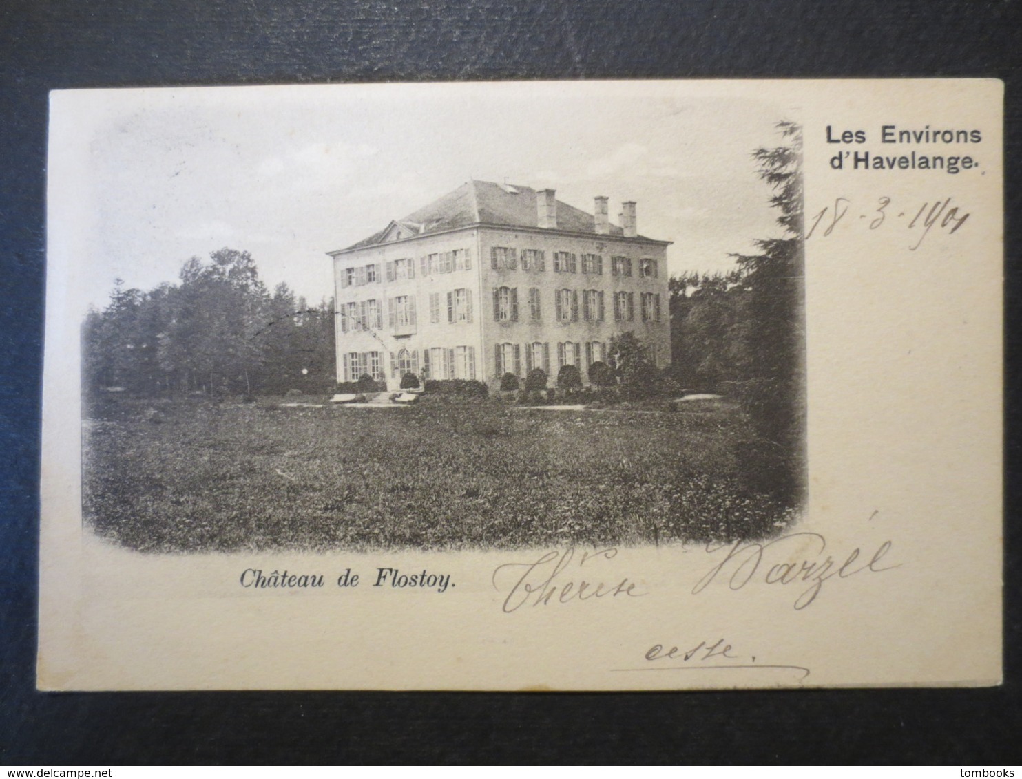 Belgique - Havelange - CPA - Les Environs D'Havelange - Château De Flostoy Série 77 N° 5 - E. Nels - 1901 - B.E - - Havelange