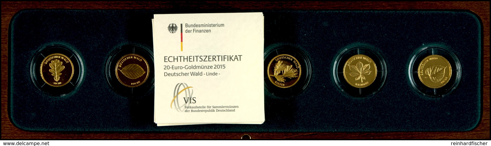 5 X 20 Euro, Gold, 2010-2015, Eiche Bis Linde (ohne 2012 Fichte), Mit Zertifikaten In Ausgabeschatulle, St.  St - Other & Unclassified