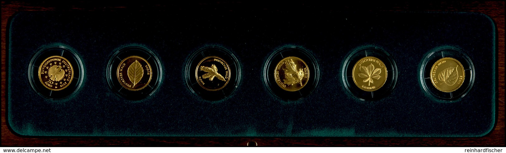 Set Zu 6 X 20 Euro, Gold, 2010-2015, Eiche-Linde, Mit Zertifikaten In Ausgabeschatulle, St., Katalog: J.552 St - Sonstige & Ohne Zuordnung