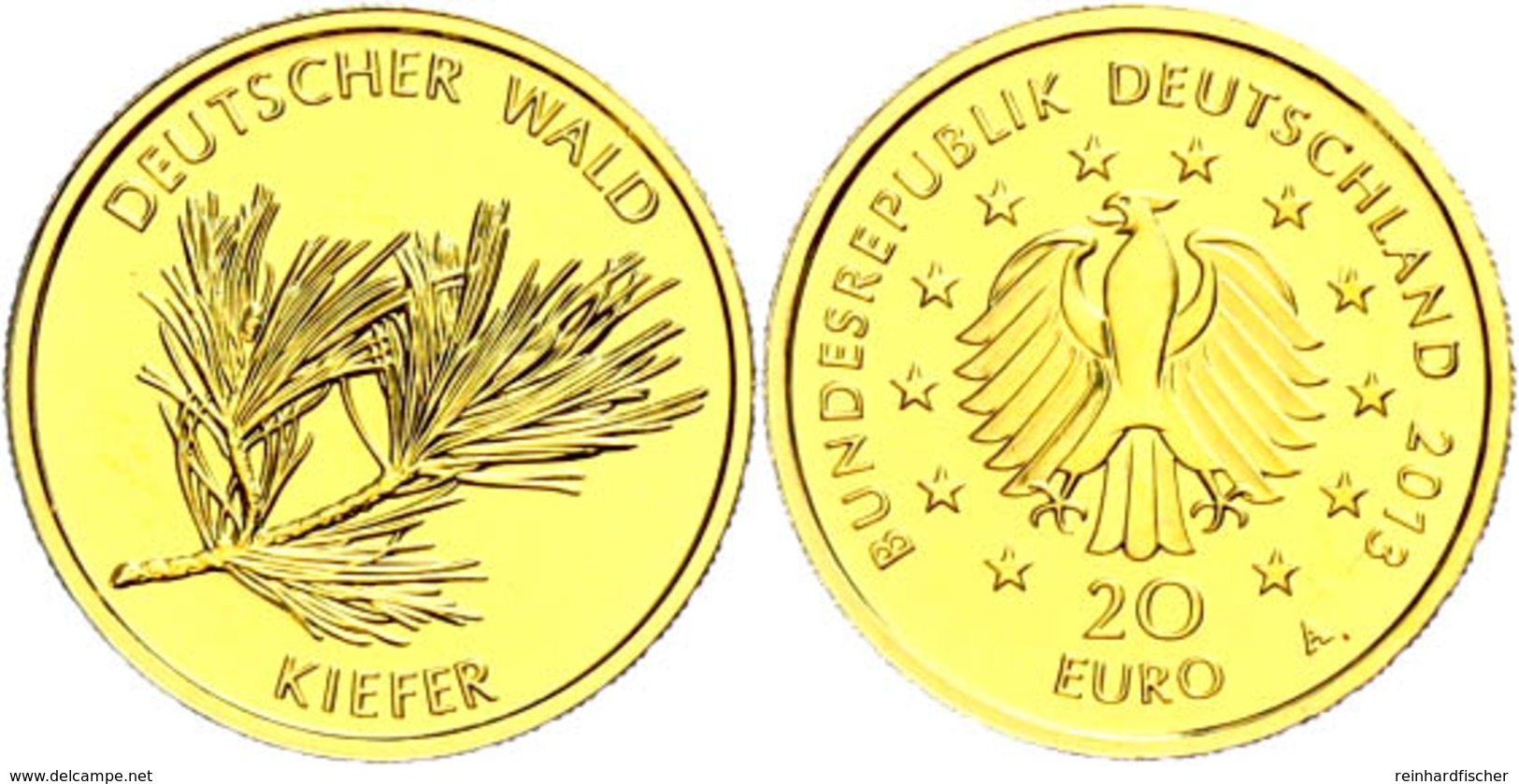 20 Euro, Gold, 2013, Deutscher Wald-Kiefer, Mzz G, J. 581, In Kapsel, St., Katalog: J.581 St - Andere & Zonder Classificatie