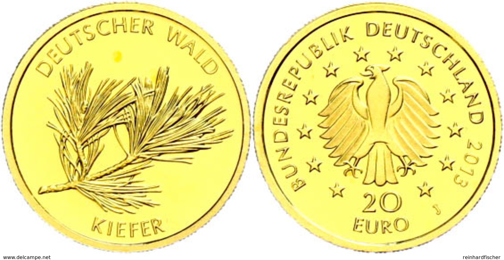 20 Euro, Gold, 2013, Deutscher Wald-Kiefer, Mzz J, J. 581, In Kapsel, St., Katalog: J.581 St - Sonstige & Ohne Zuordnung