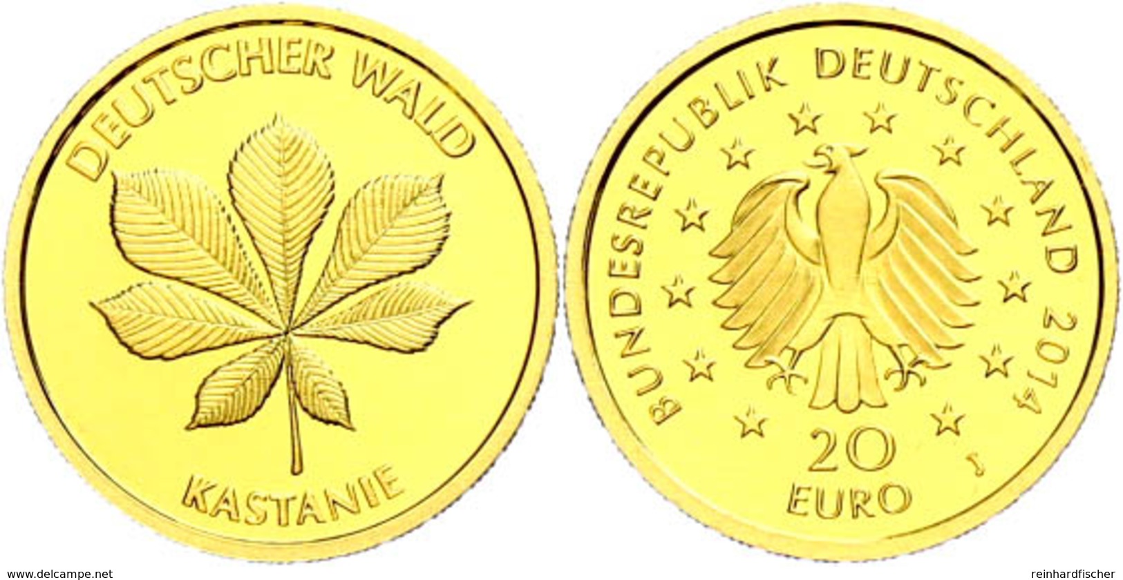 20 Euro, Gold, 2014, Deutscher Wald-Kastanie, Mzz J, J. 589, In Kapsel Mit Zertifikat Und Etui, St., Katalog: J.589 St - Autres & Non Classés