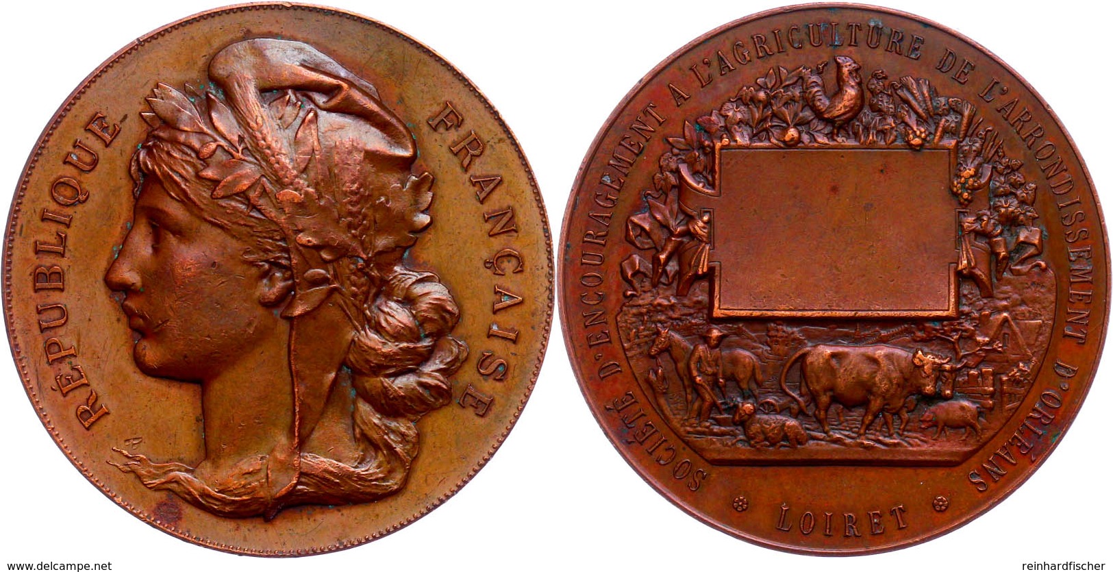 Frankreich, Bronzemedaille (Dm. 50 Mm, 58,3 G), O.J., Unsigniert, Preismedaille Des Landwirtschaftsinstituts Orleans, Av - Other & Unclassified