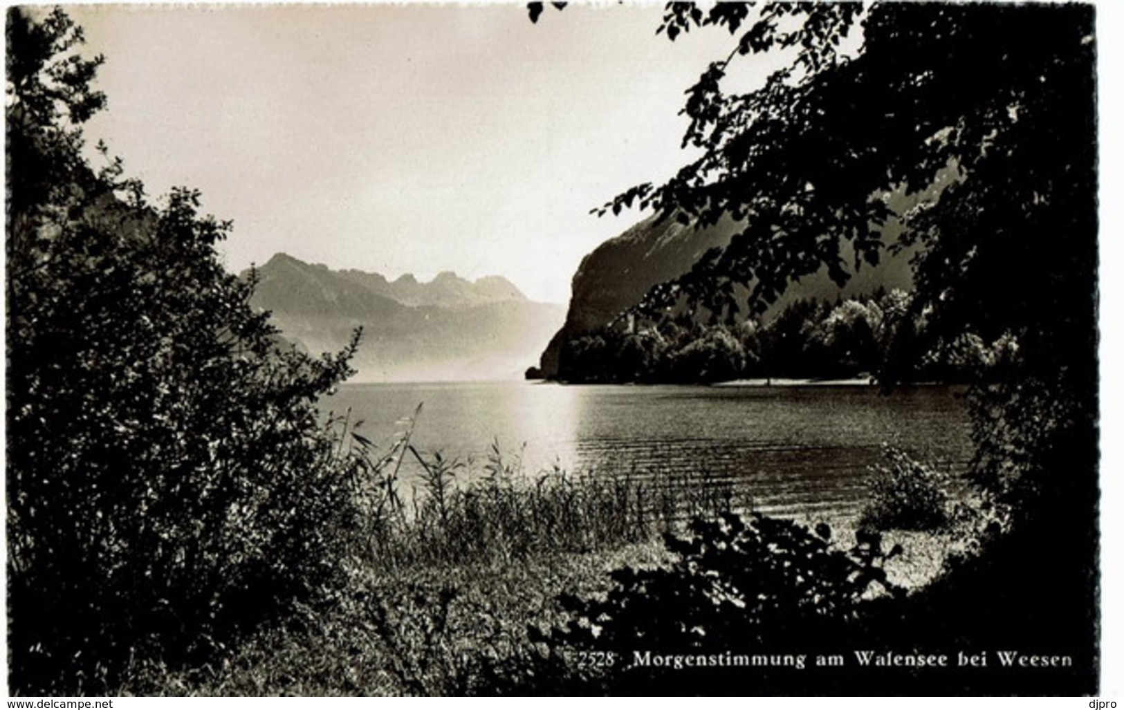 2528 Morgenstimmung Am Wafensee Bei Weesen - Weesen