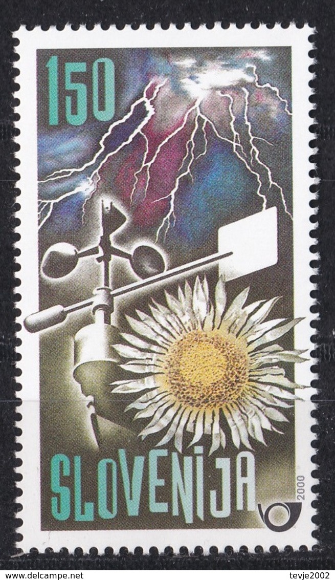 Bö_ Slowenien - Mi.Nr. 312  - Postfrisch MNH - Slowenien