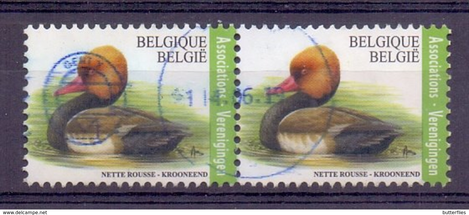 Belgie - 2018 -  Natuur - Krooneend - Used Stamps