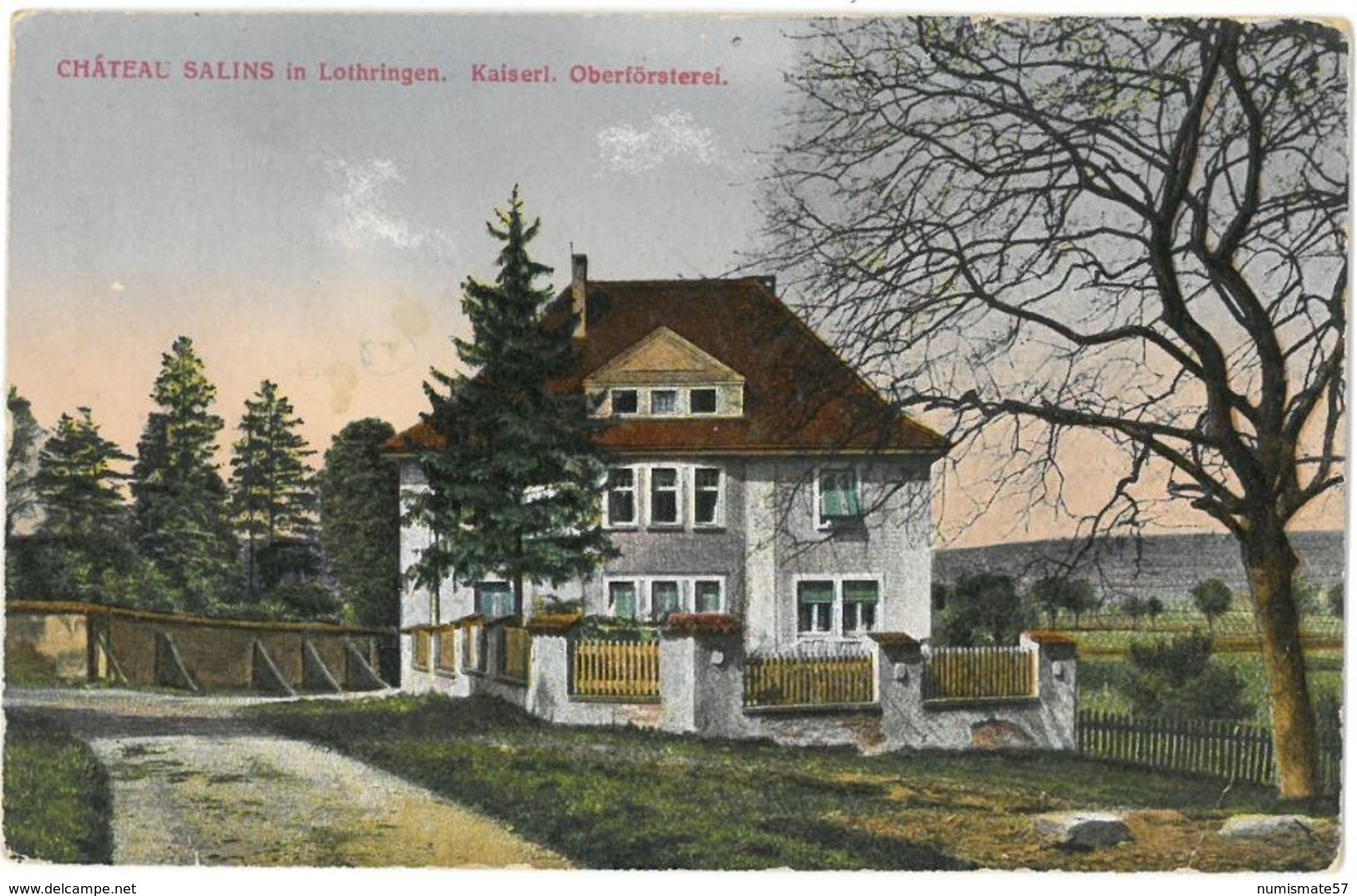 CPA CHATEAU SALINS In Lothringen - Kaiserl. Oberförsterei - Ed. Jul. Manias & Cie - Chateau Salins