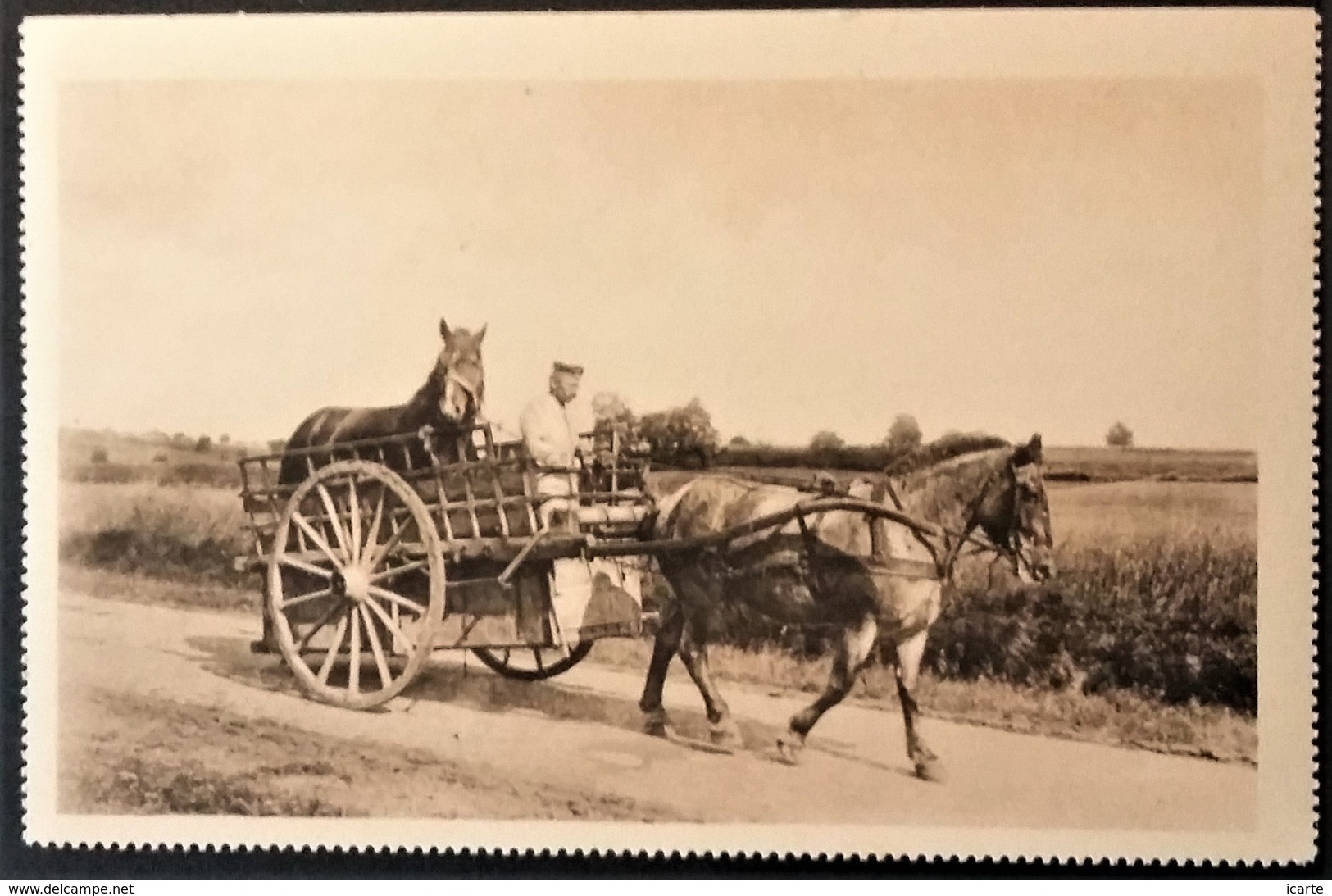 Feldpostkarte Carte De Franchise Militaire Allemande Pferdelazarett Westlichen Kriegsschauplatz Hôpital Pour Chevaux - Lettres & Documents