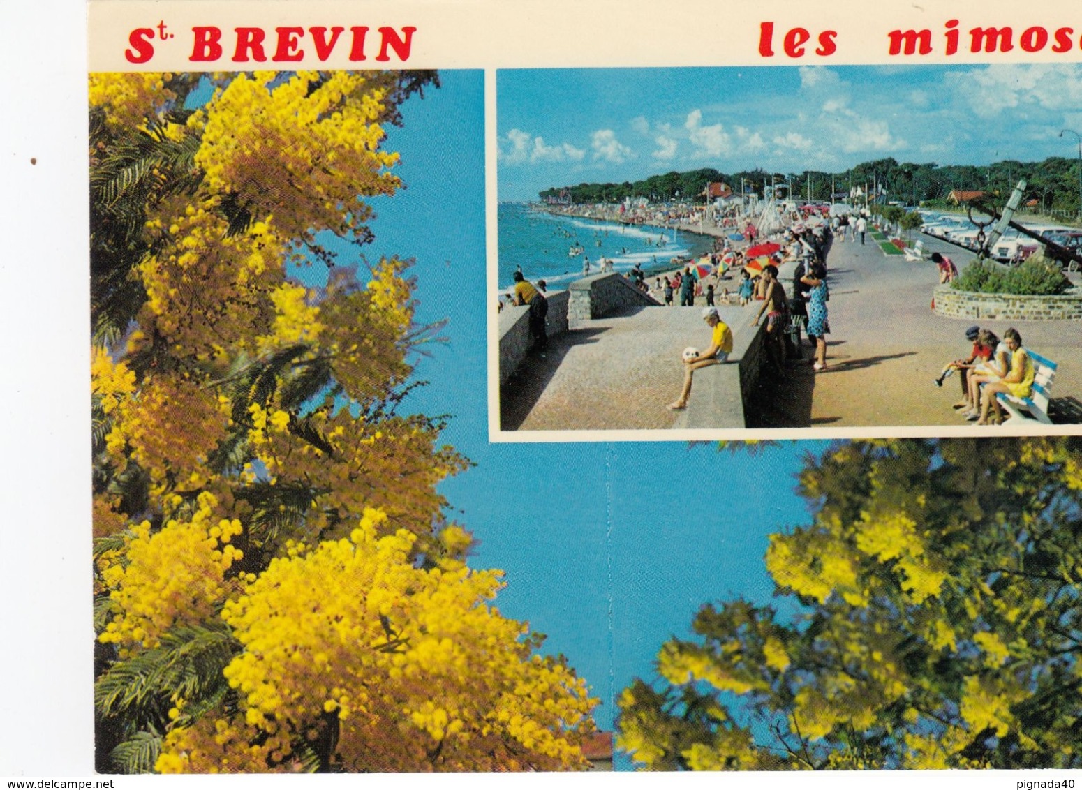 Cp , 44 , SAINT-BRÉVIN , Cité Des Mimosas , Multi-Vues - Saint-Brevin-l'Océan