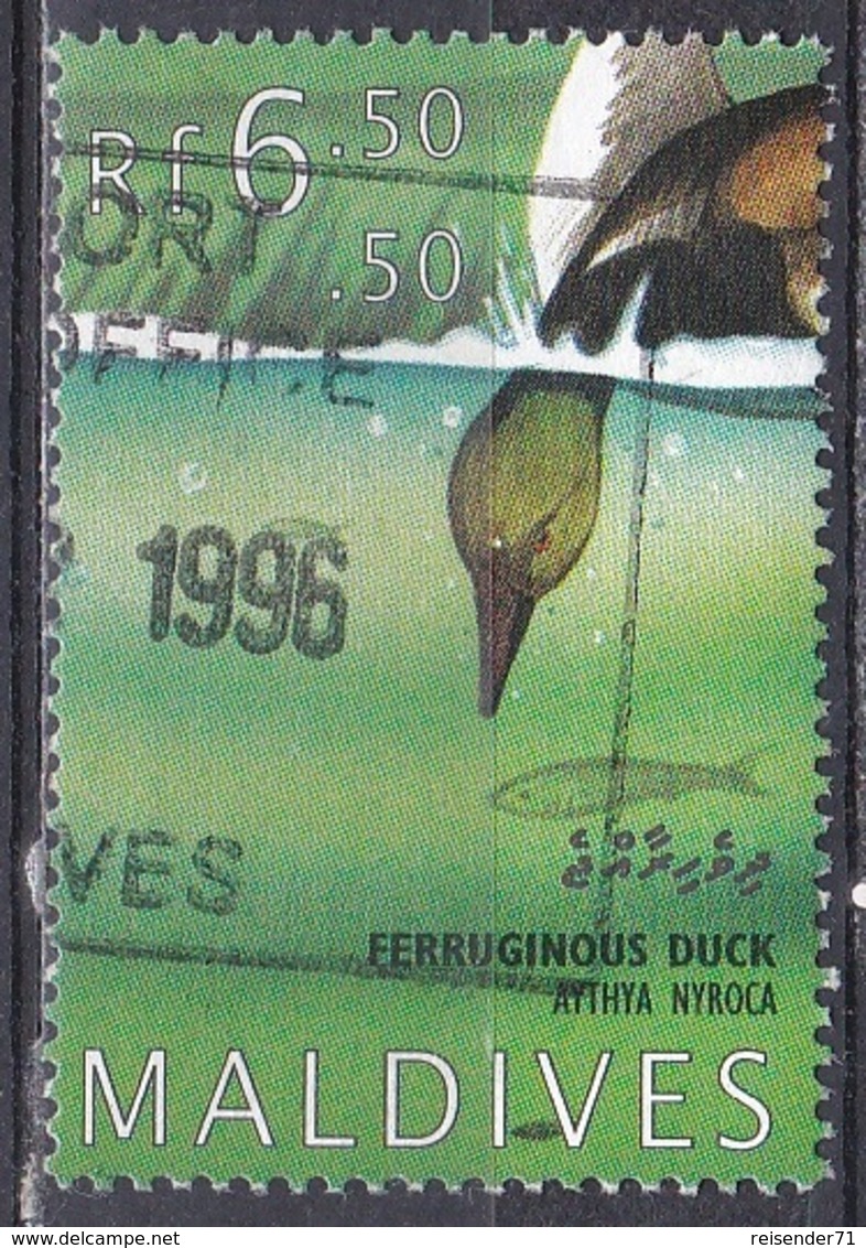 Malediven Maldives 1995 Tiere Fauna Animals Vögel Birds Oiseaux Aves Uccelli Enten Ducks, Mi. 2305 Gest. - Malediven (1965-...)