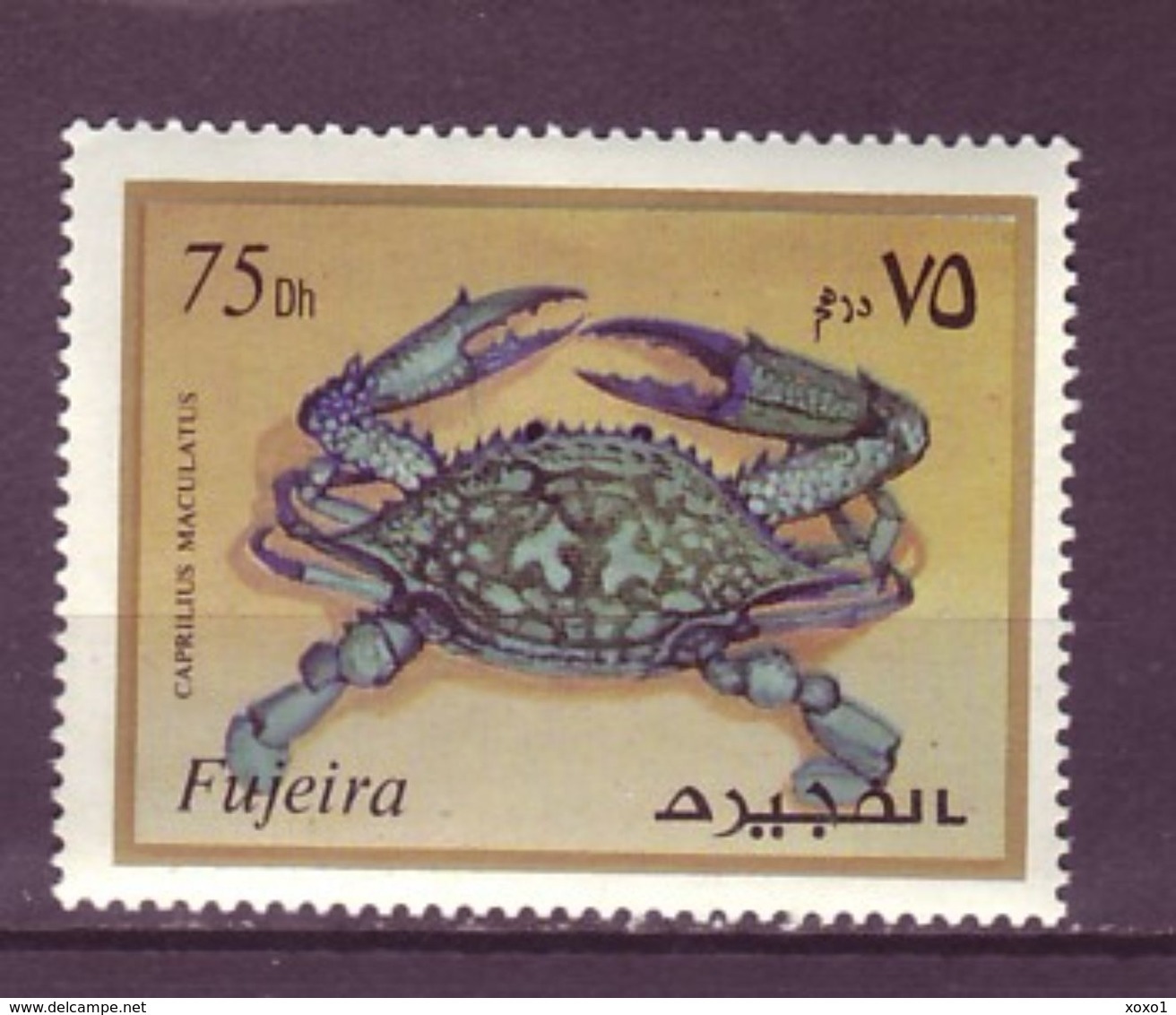 Fujeira 1972 MARINE LIFE CRUSTACEANS  1v MNH** - Schalentiere