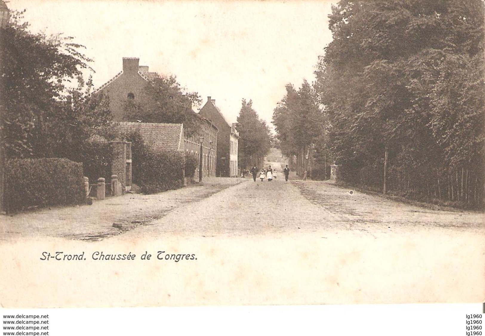 1262) SINT-TRUIDEN - Chaussée De Tongres - 1904 - Sint-Truiden