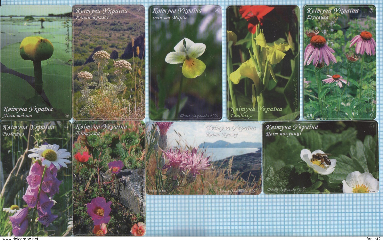 UKRAINE / 19 Phonecards, Phone Cards Ukrtelecom / Flora. Plants. Flowers 2000s - Blumen