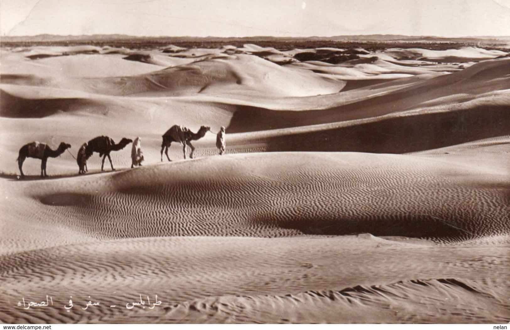 TRIPOLI-ORIENTAZIONE NEL DESERTO-1952-REAL PHOTO - Libia