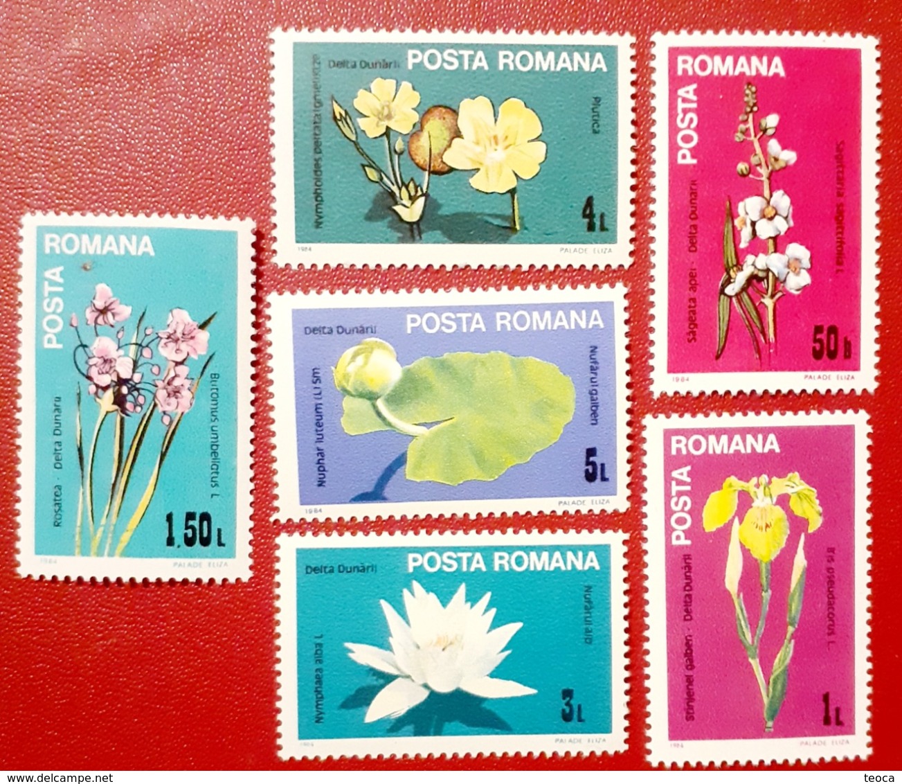 PLANTS, FLOWERS  Romania 1984 Set 6v, MNH  **, - Sonstige & Ohne Zuordnung