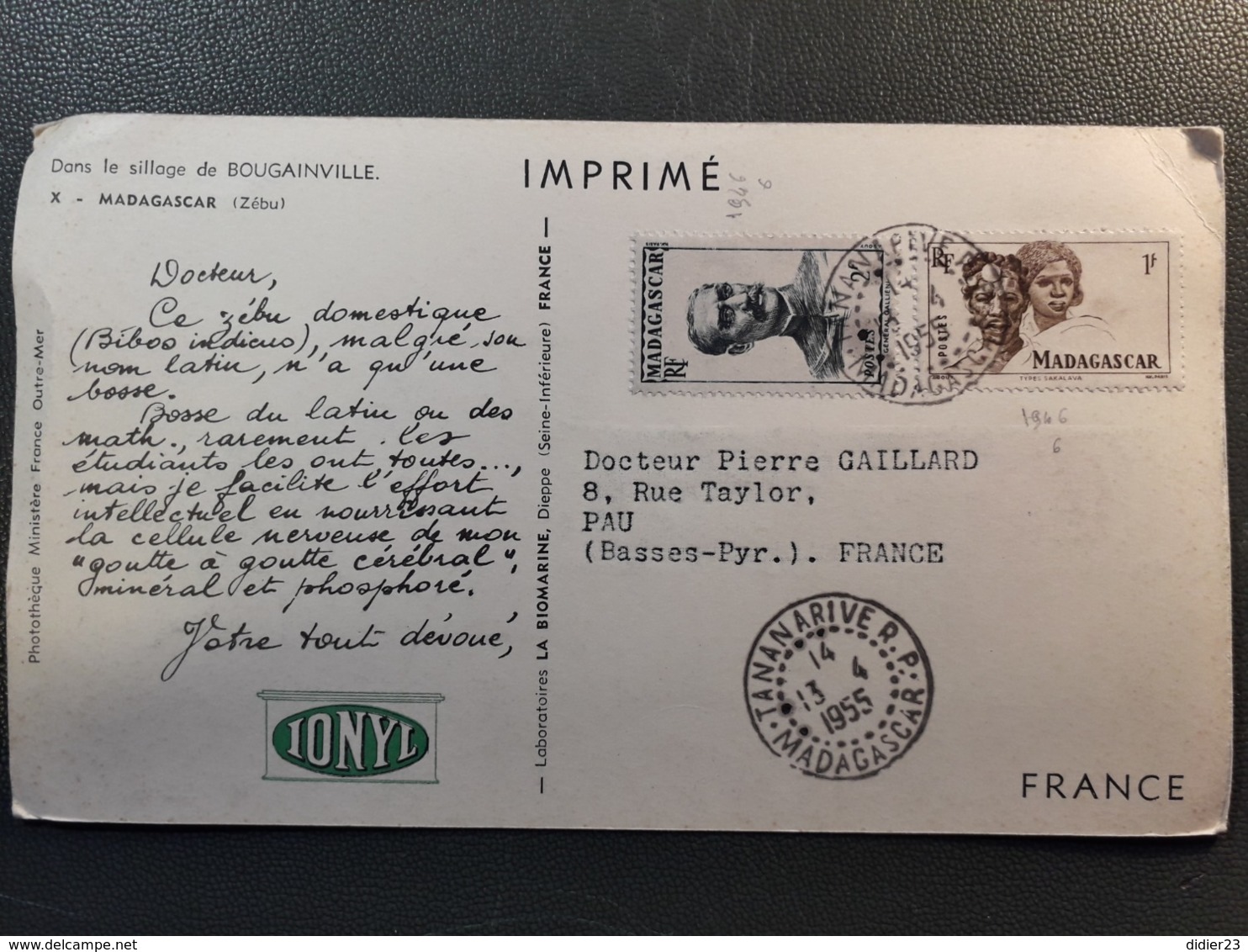 MADAGASCAR DANS LE SILLAGE DE BOUGAINVILLE ZEBU  PUBLICITE PHARMACEUTIQUE IONYL 18 X 10 PHARMACIE - Autres & Non Classés