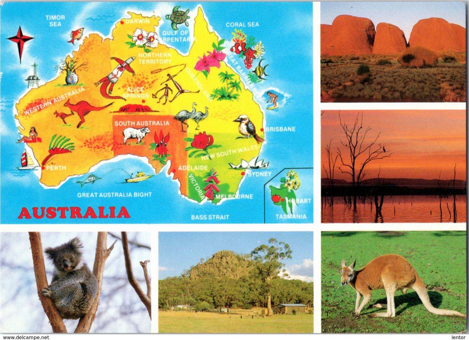 Kt 890 / Australia, Koala, Cangaroo - Sonstige & Ohne Zuordnung