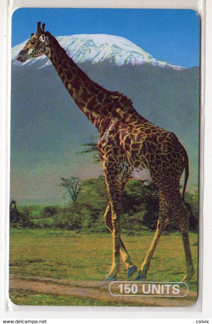 TANZANIE Ref MV Cards : TAN-TT-01a GIRAFE 150 UNITS - Tanzania