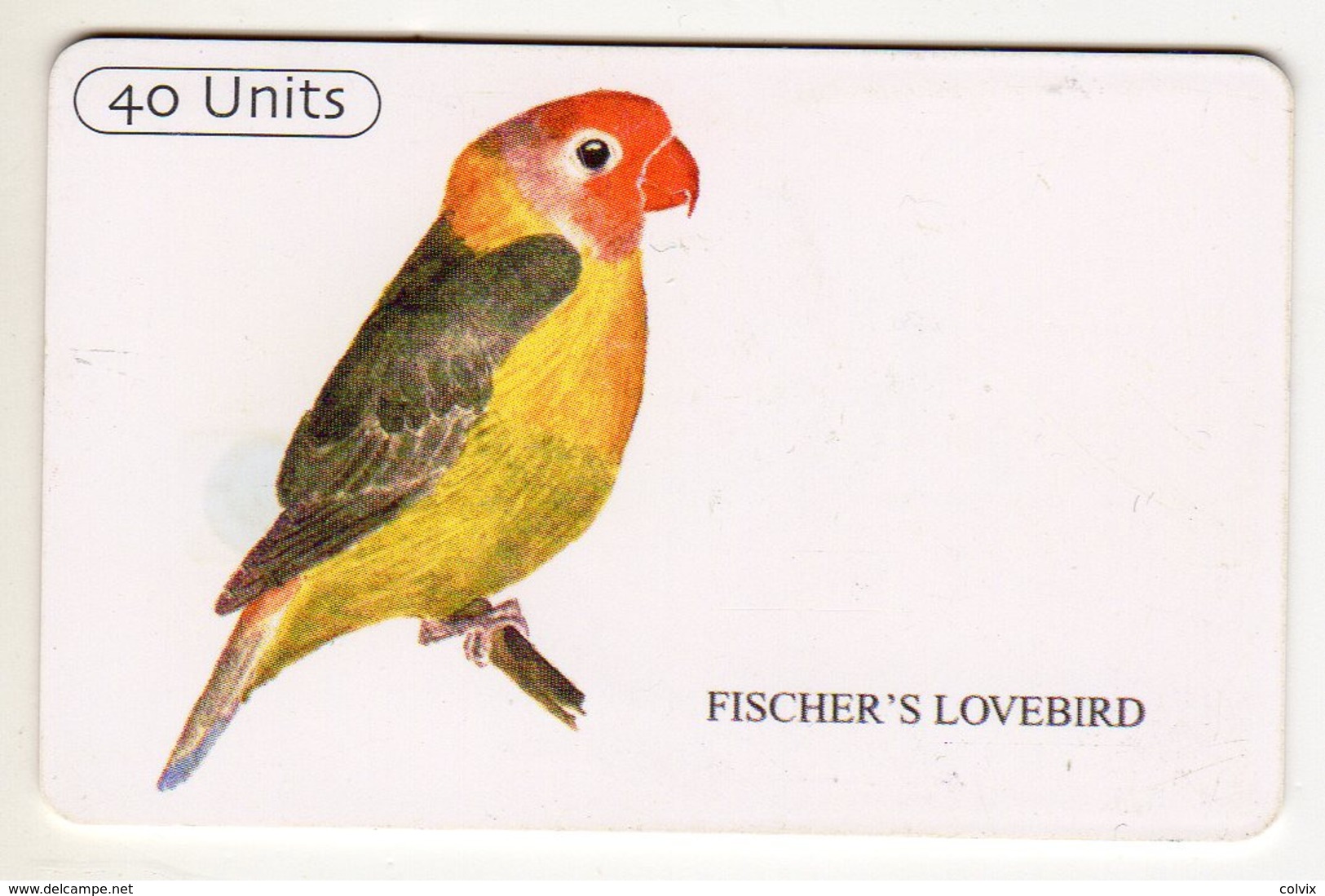 TANZANIE Ref MV Cards : TAN-TT-15 FISHER'S LOVEBIRD 40 UNITS - Tansania