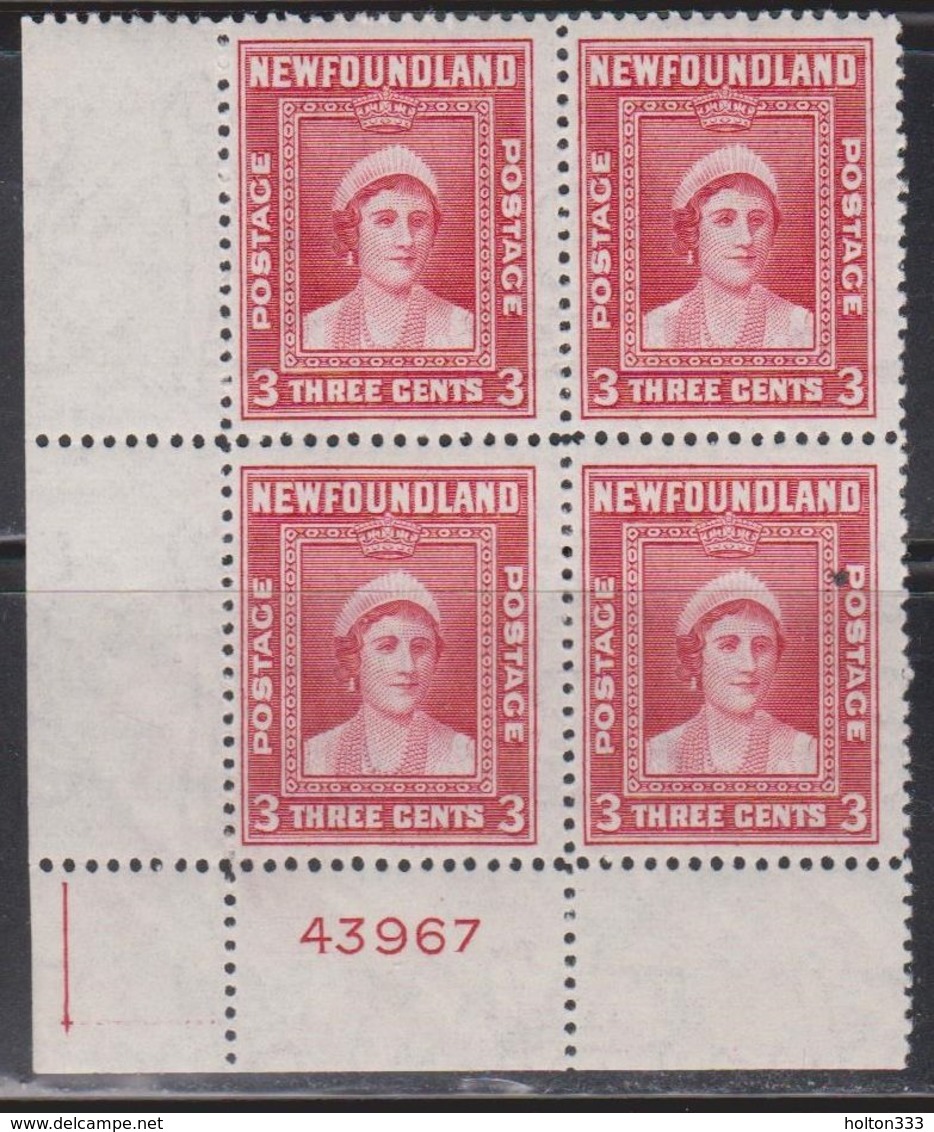 NEWFOUNDLAND Scott # 255 MNH Block Of 4 - Queen Elizabeth With Cutting Guide - 1908-1947