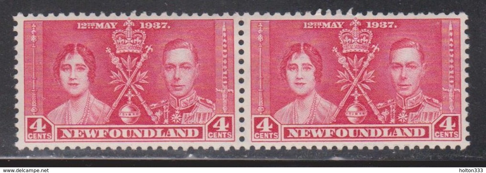 NEWFOUNDLAND Scott # 231 MNH Pair - KGVI Coronation - 1908-1947