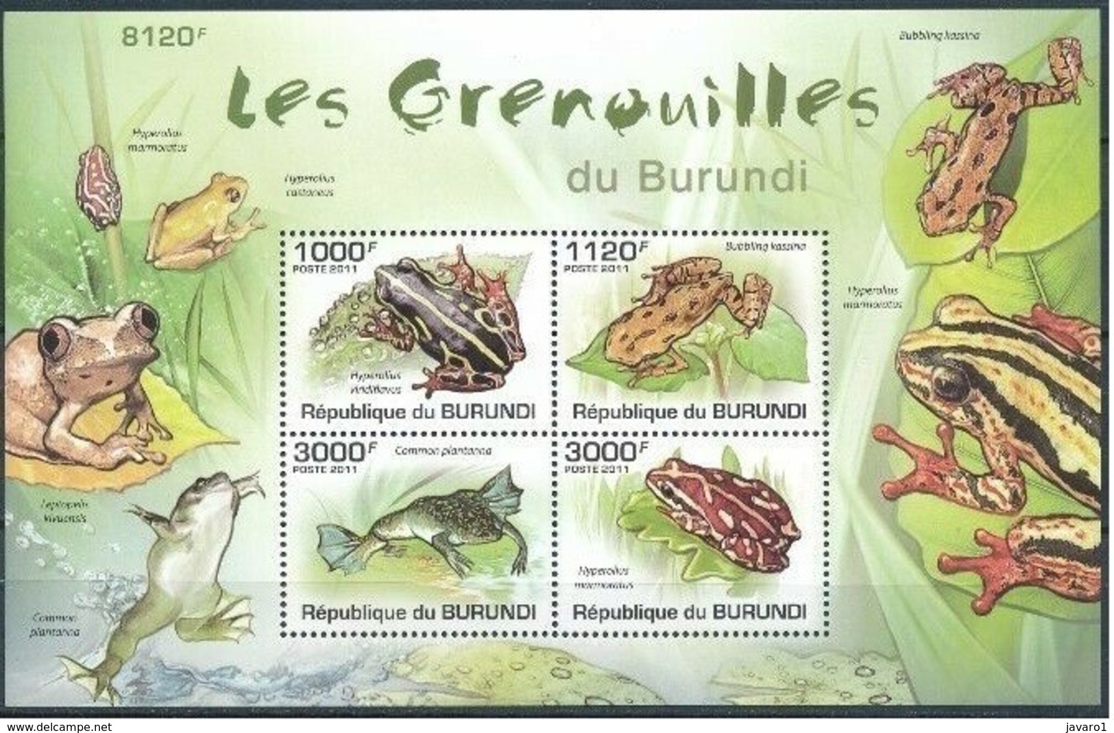 BURUNDI :   MNH :  FROGS - Neufs