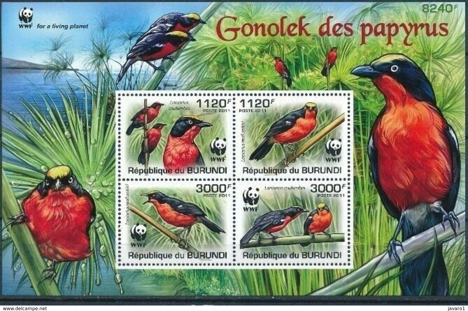 BURUNDI :   MNH :  BIRDS - Neufs