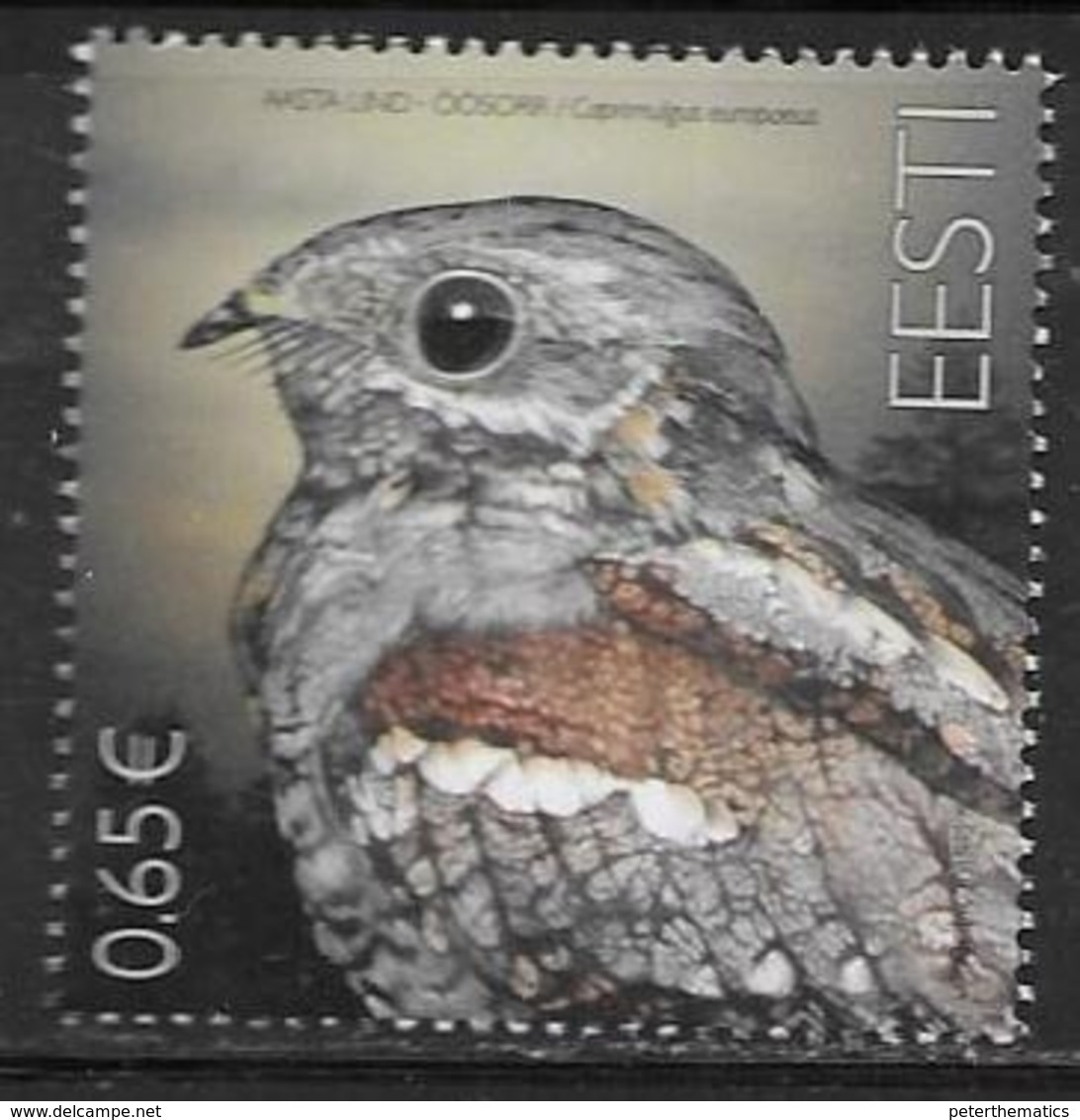 ESTONIA, 2019, MNH,  FAUNA, BIRDS, BIRD OF THE YEAR, NIGHTJAR,1v - Andere & Zonder Classificatie